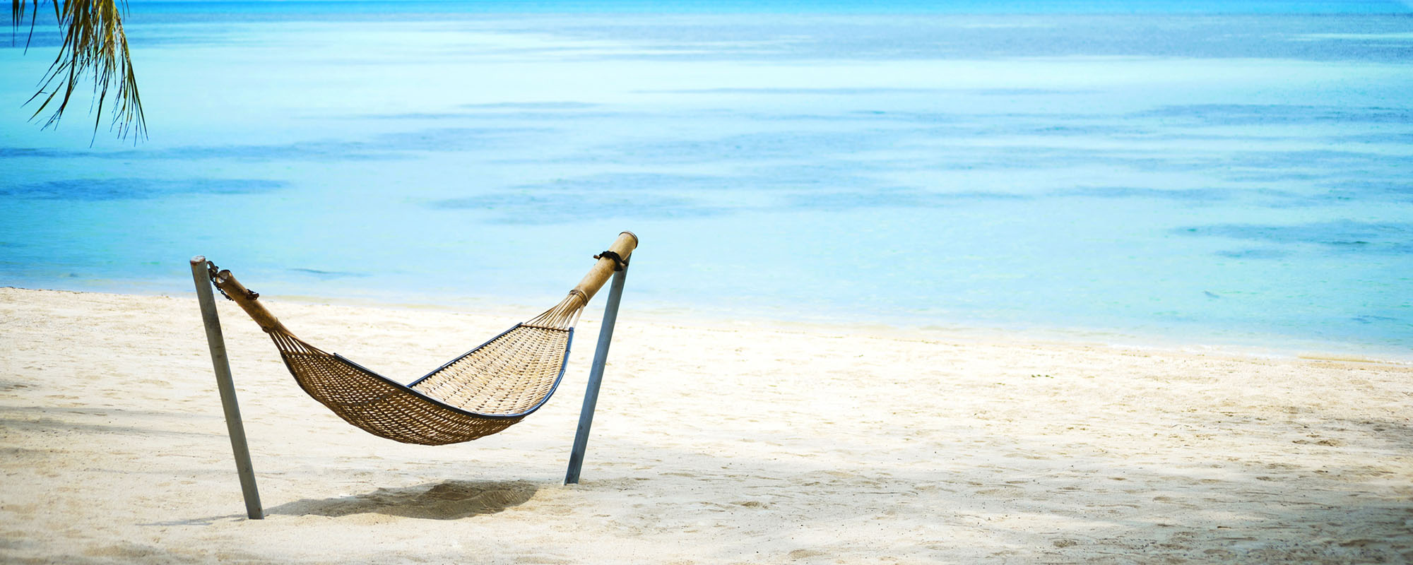 beach.jpg