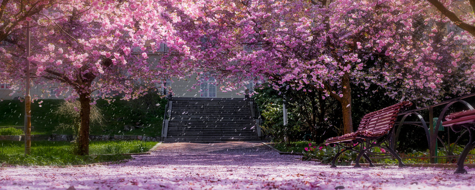 iStock-471771360-SPRING.jpg